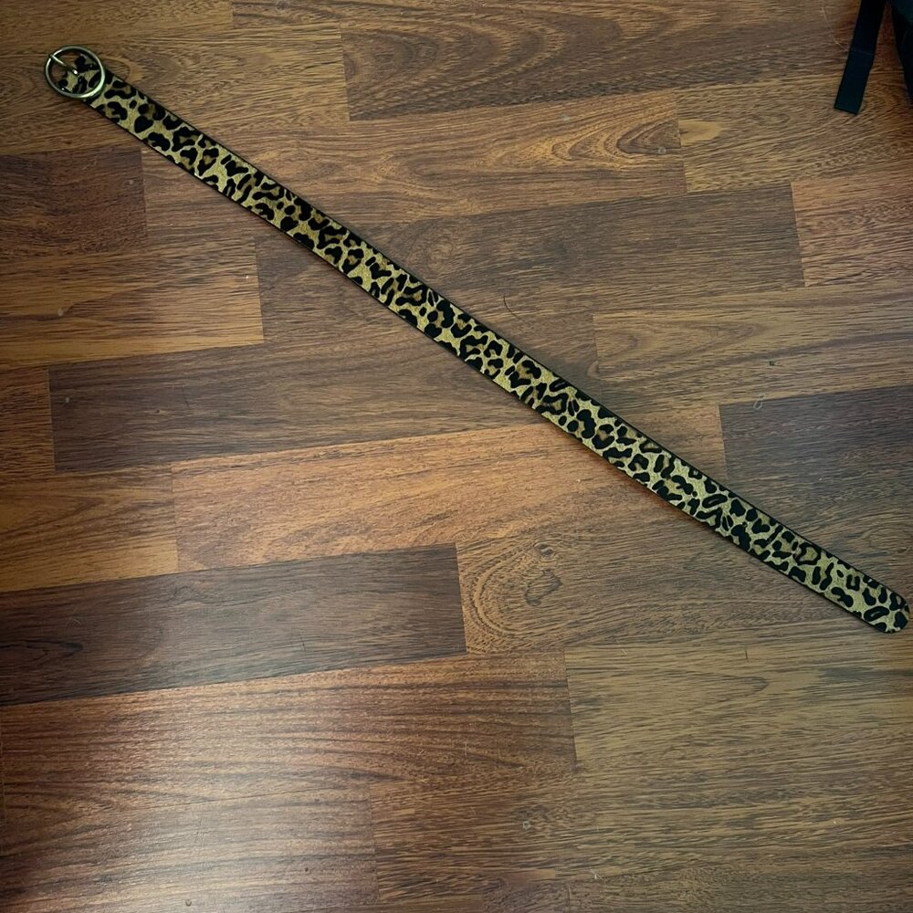 American Eagle Belt